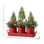 21"L Christmas Potted Triple Trees Centerpiece Or Table Tree