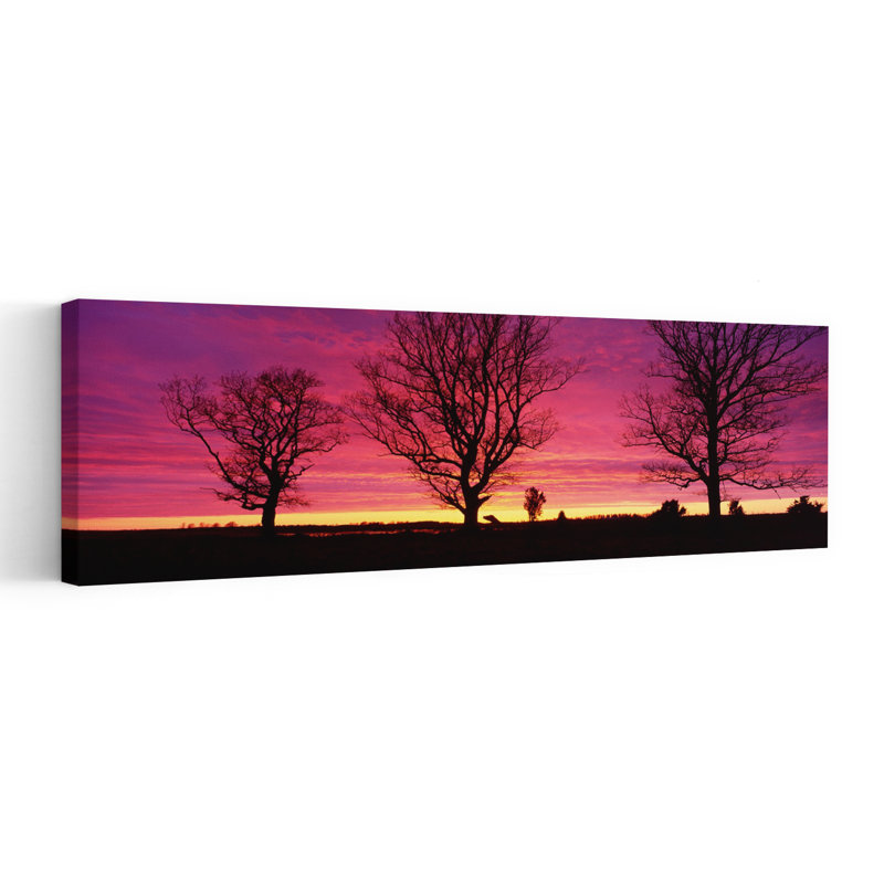 Oak Trees Sunset Sweden by Christer Fredriksson - Wrapped Canvas Panoramic Print, 50.8 cm H x 152.4 cm W