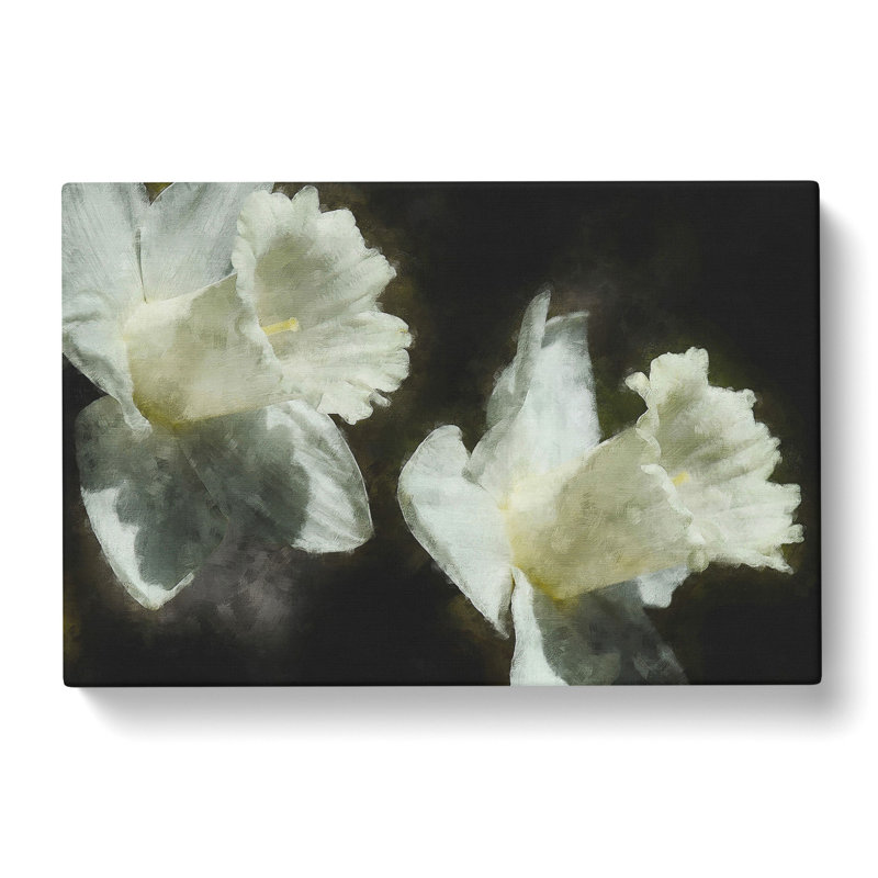 White Daffodils - Wrapped Canvas, 35cm H x 50cm W x 3cm D