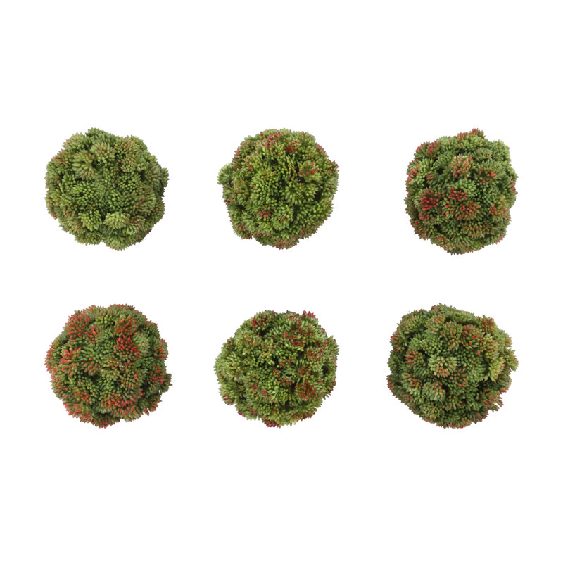 Boules de Sedum décoratives, Vert