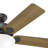 Hunter 52 Inch Pro's Best Energy Star® Ceiling Fan With Lights And Pull Chains-102555569-102555573
