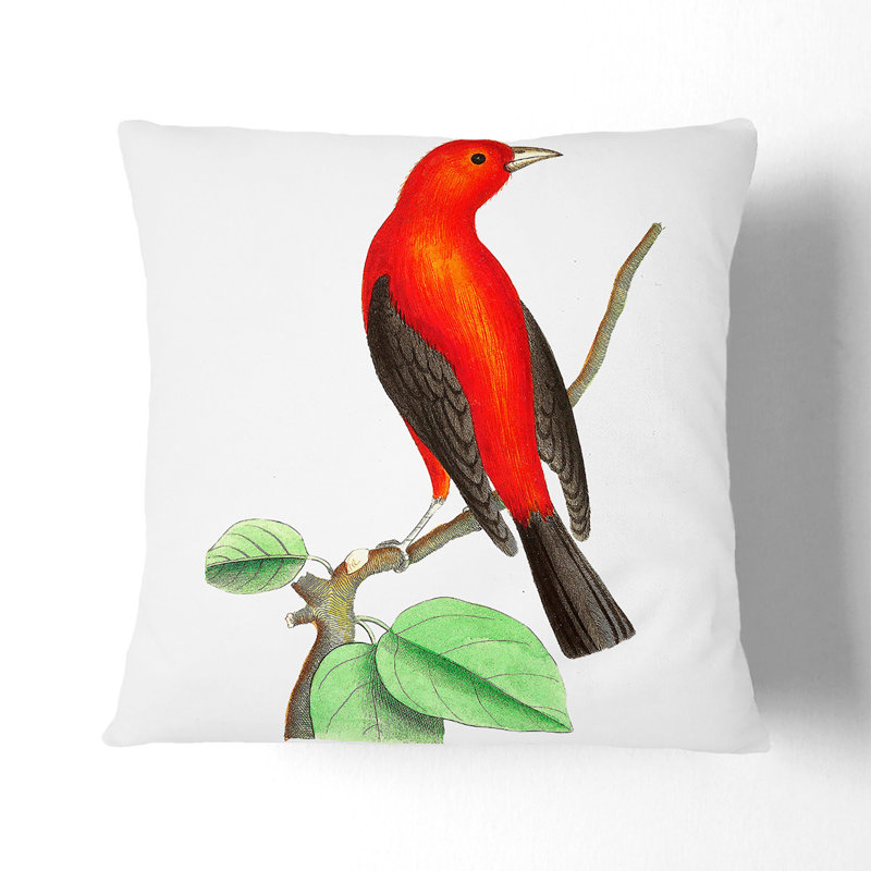 Brazilian Tanager Bird Square Throw Cushion, Stone, 55cm H x 55cm W x 20cm D