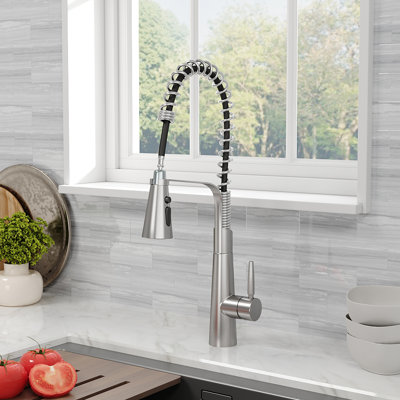 Belfry Kitchen Dunfee Pull Out Kitchen Faucet