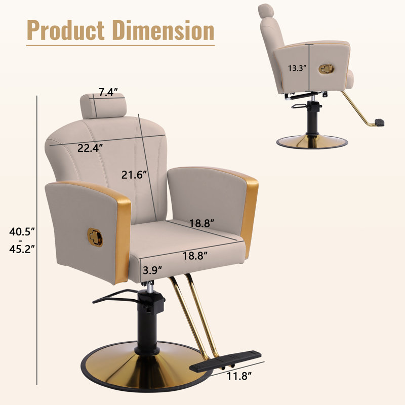 Salon Chair For Hair Stylist,Barber Chair For Home Barbershop With Professional Hydraulic Pump, Gray, Gold