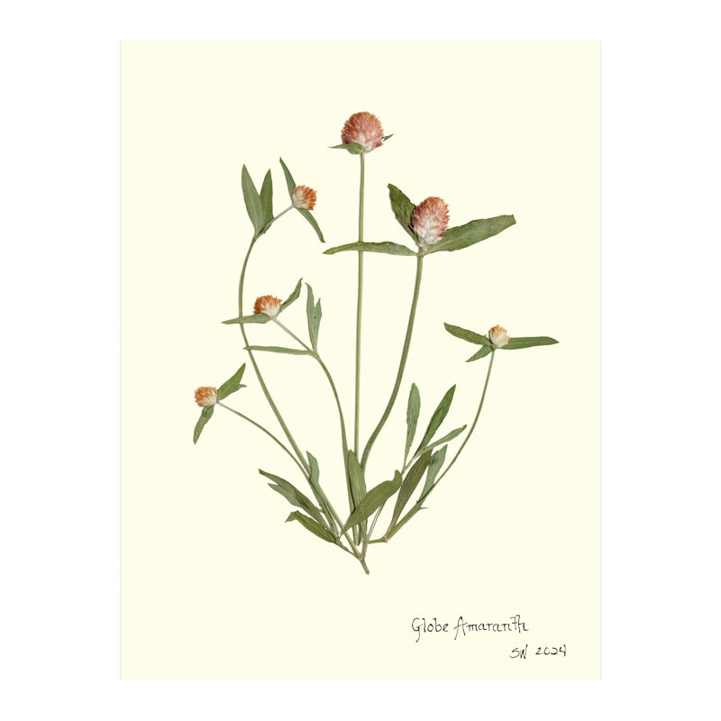 Pressed Botanical Set by Sandy Whitaker, Antique Gold, 42.5" H x 51.75" W