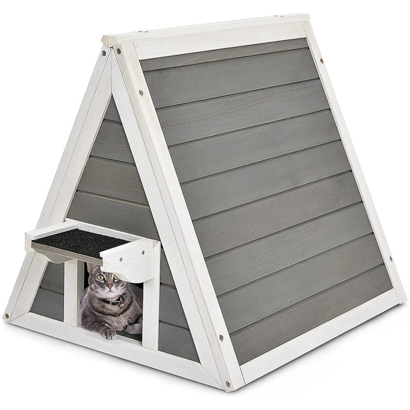 Creedmoor 53 cm H Cat Tree / Condo