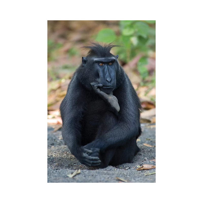 The Thinker by Karsten Wrobel - Wrapped Canvas Gallery-Wrapped Canvas Giclée, 101.6cm H x 66.04cm W