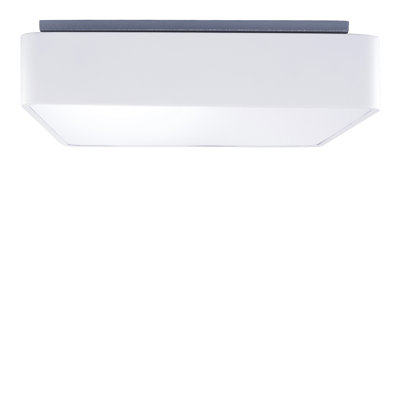 Flush Mount