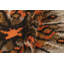 Rez Kilim One-of-a-Kind 2'5"x4'3" Area Rug