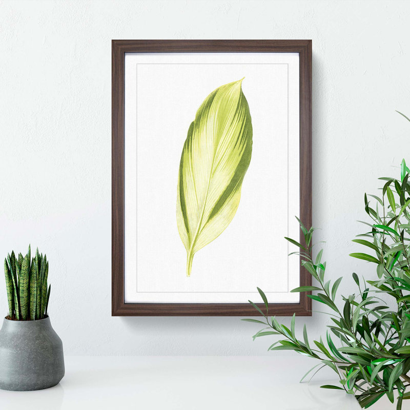 Pretty Green Leaf by Benjamin Fawcett - Framed Print, Walnut, 76cm H x 50cm W x 2cm D