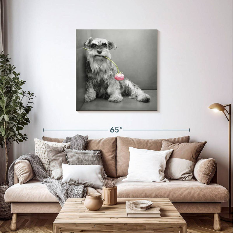 Brampt Ziggy BW, 36" H x 36" W