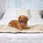 Faux Fur Bed Runner-1967850276-1967850273
