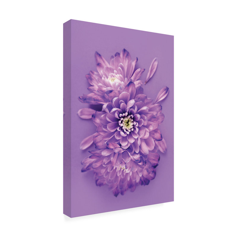 «Incado lavender chrysanthemums», art sur toile, H 32 po x l 22 po