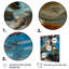 Reproduction d'art mural Turle Marine Life Encounter II-395124528-395124542