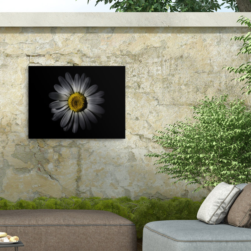 Bolognaise bolivien, Brian Carson, fleurs de jardin 52, H 35 po x l 47 po