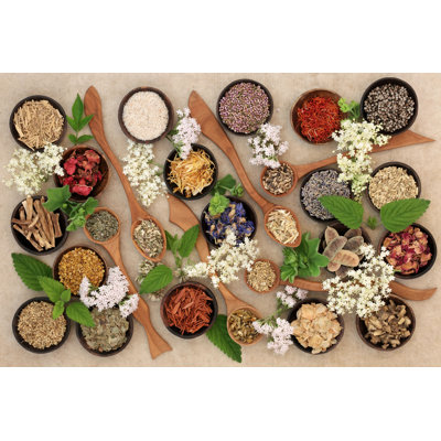 Burdena " Herbal Medicine Selection " by Marilyna