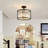 Ceiling Light