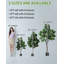 Plantes artificielles 4FT-6FT avec plus de feuilles pour le bureau personnel-1959597491