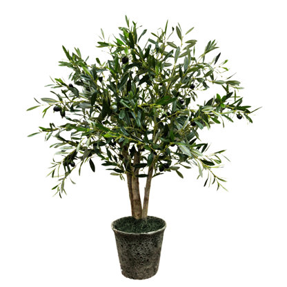 Faux Olive Tree Tree in Ceramic Pot