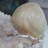Figurines & Sculptures
