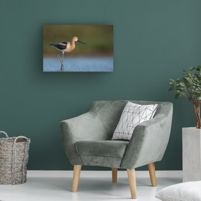Bolog Greg Barsh Complementary Colors Canvas Art