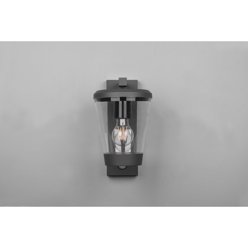 Evelore Outdoor Armed Sconce