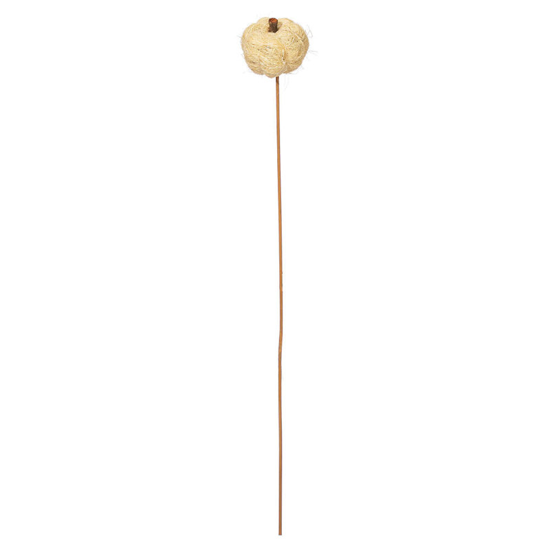 Natural Botanicals Hand Crafted Pumpkins, Bleached