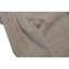 Area Rug in Light Brown