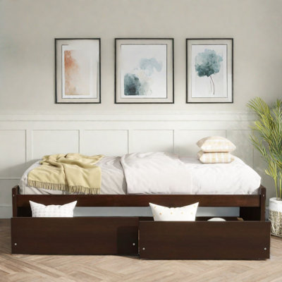 Minimalist Design Bed With 2 Drawers