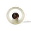 Wendell Glass Flush Mount-16518860