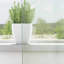 Semi Sheer Curtain Pair-114299862-114299864