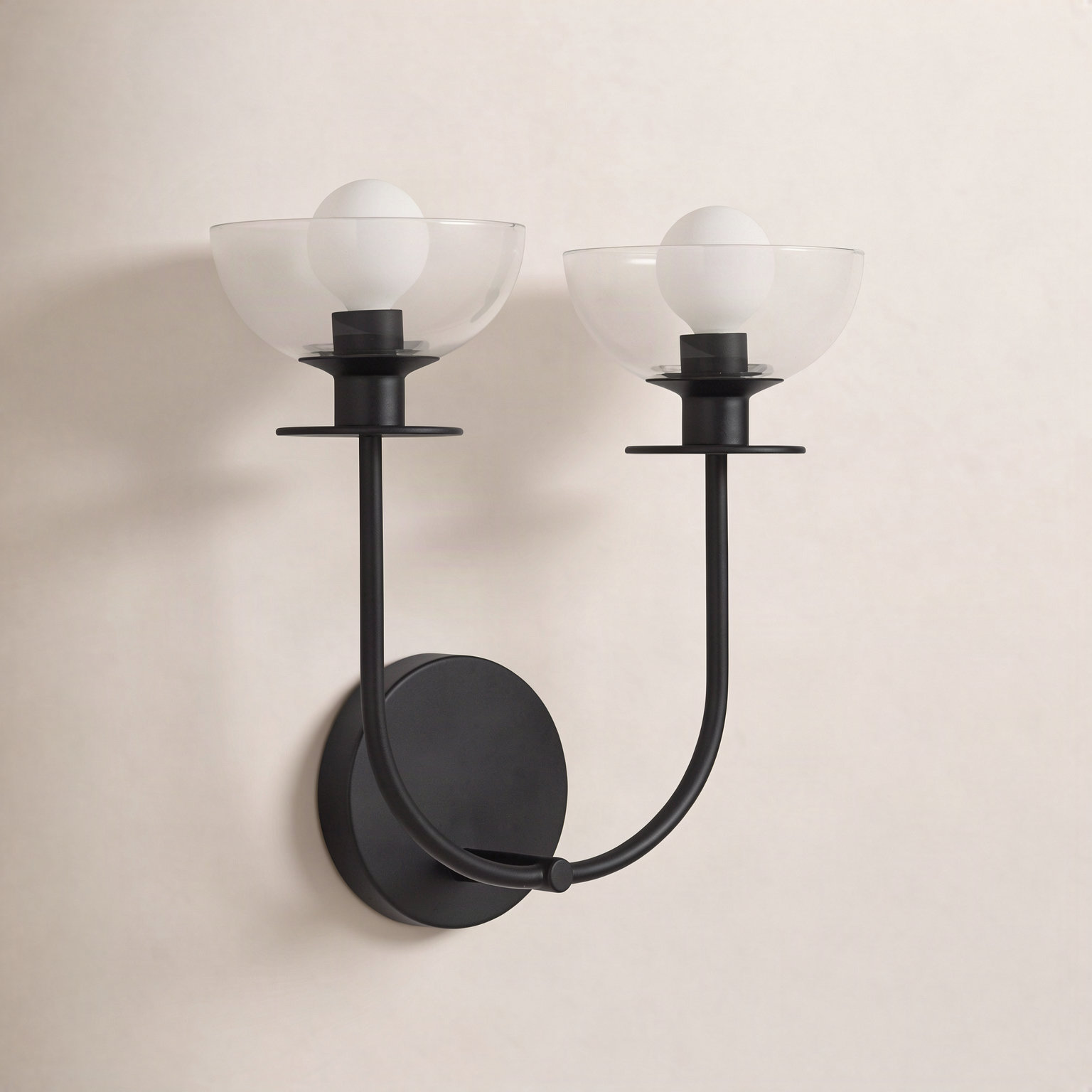 Delisa 2 Light Transparent Vanity Light, Matte Black