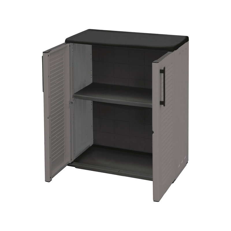 Plastic 2 -Door Accent Cabinet