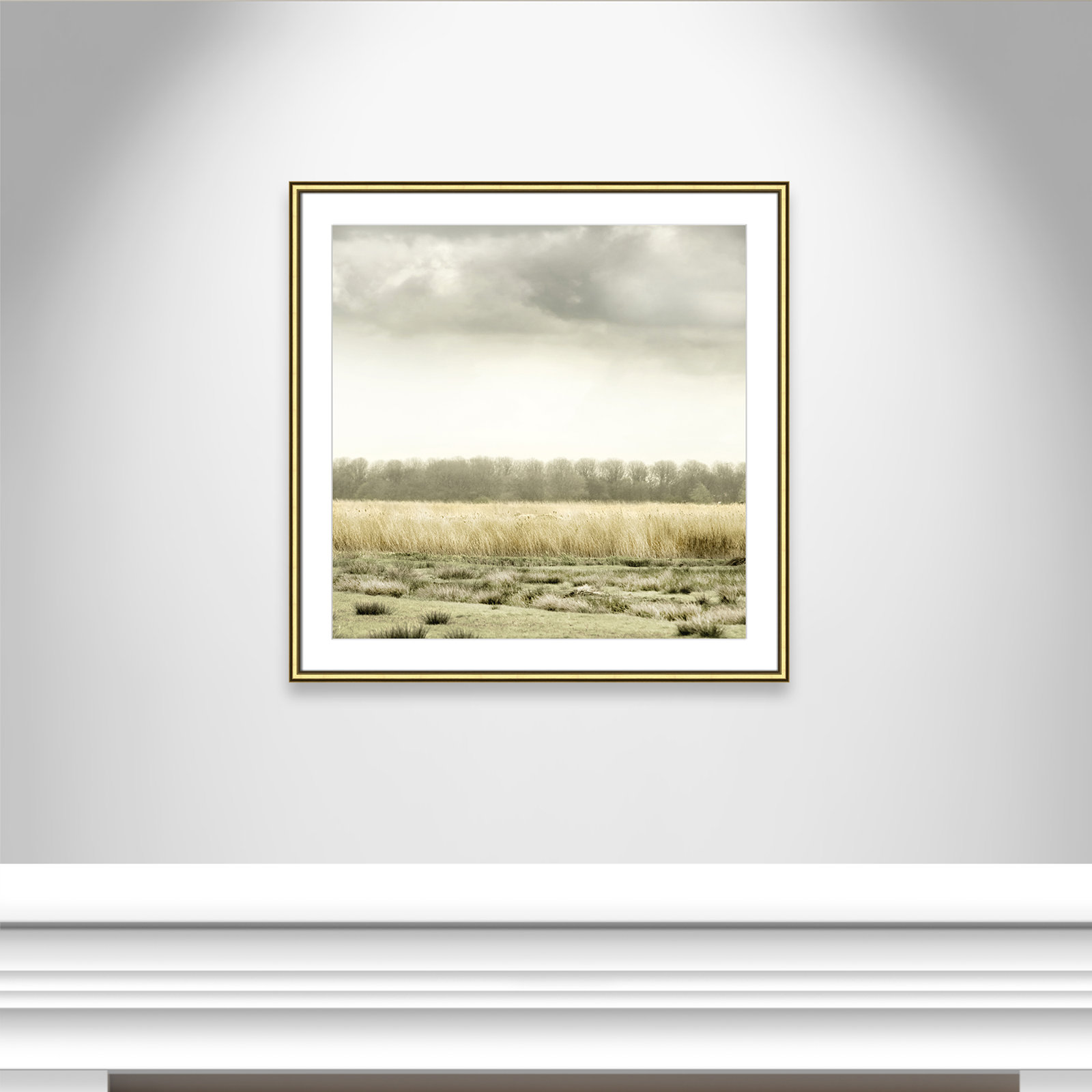Henri "Meadowland" Print by Danita Delimont, Gold, 32" H x 32" W