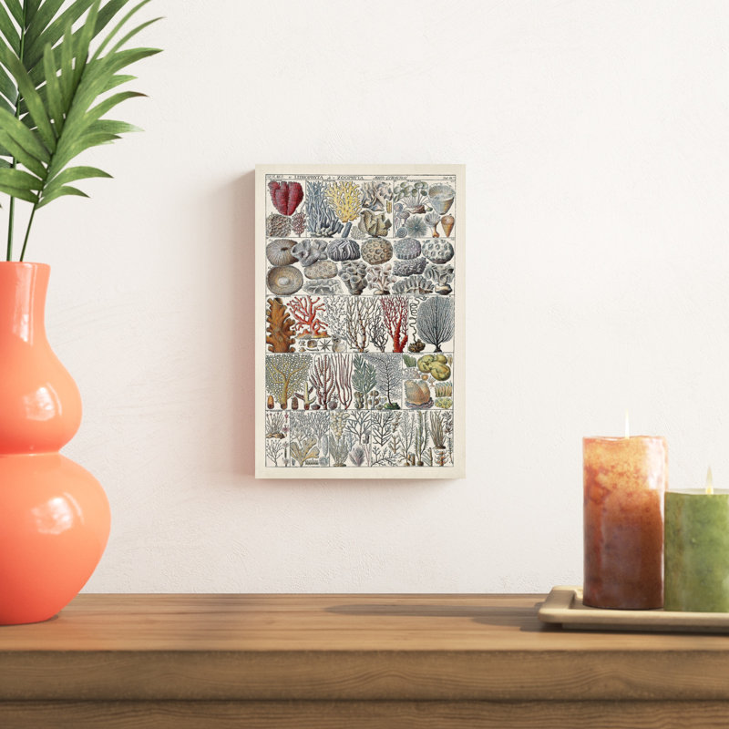 Corail, H 48 po x l 32 po