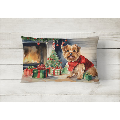 Other/No Pattern Outdoor Throw Pillow