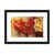 Blanc / aubergine / banane / brun clair / rouge br n'est pas disponible