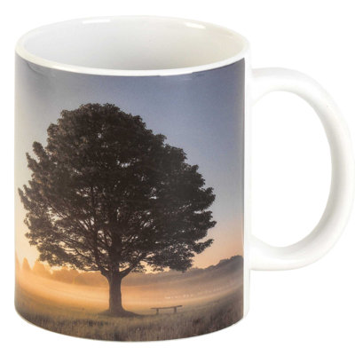 Desyre Ceramic Coffee Mug