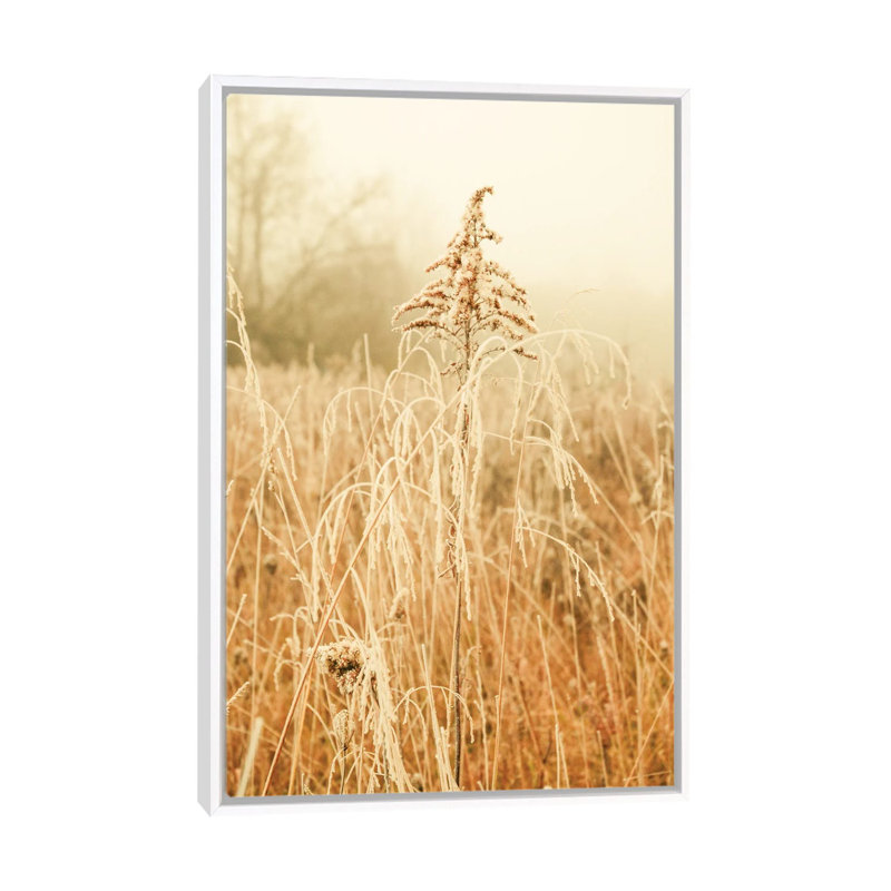 Nordic Winter III by Olivia Joy StClaire - Print on Canvas