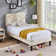 Auxter Adjustable Upholstered Head Height Bed Frame
