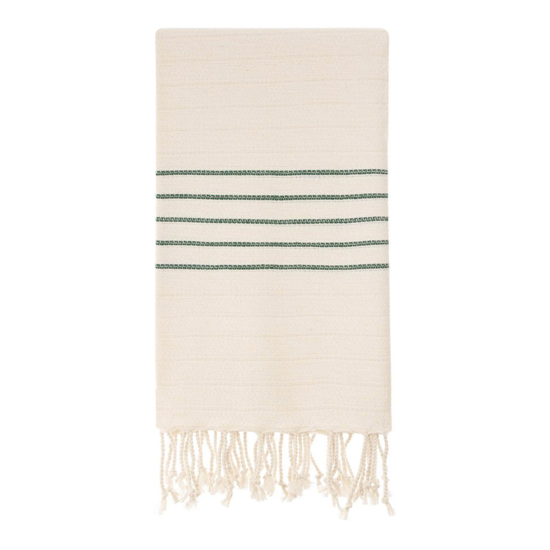 Aquinas Turkish Cotton Beach Towel Rosecliff Heights 