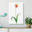 Didiers Tulip by Pierre-Joseph Redoute - Wrapped Canvas-55342794