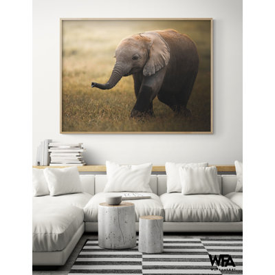 «Falafelo» par Ahmet Sobhi, reproduction de photographie de bébé éléphant, photo animalière Safari, décor de chambre de bébé éléphant sauvage