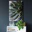 Zen succulent II-reproduction de photo sur toile tendue-82343813