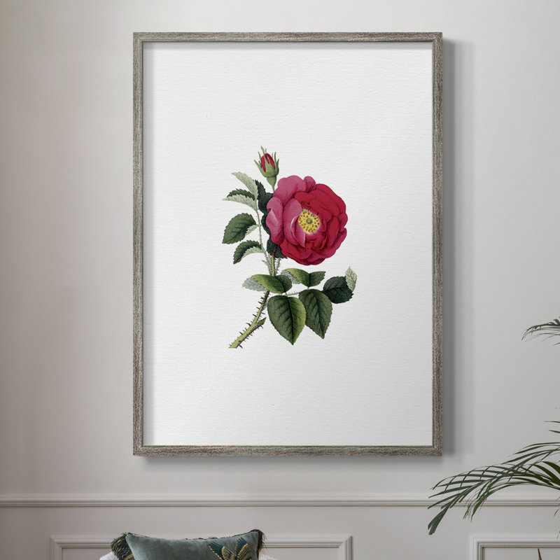Botanical Beauty I Framed Print - Solid Wood 50509, 30'' H x 24'' W