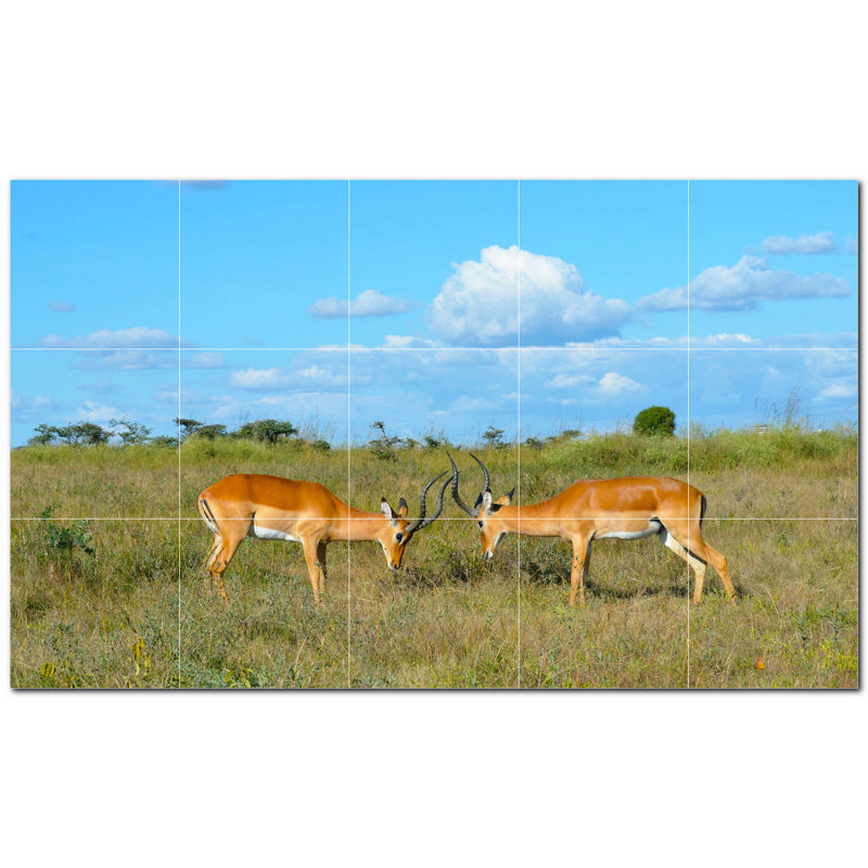 Cerf photo 6 x 6