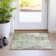 Machine Washable Indoor/Outdoor Xhevrie Aloe Rug