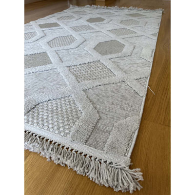 Tivan Indoor / Outdoor Rug