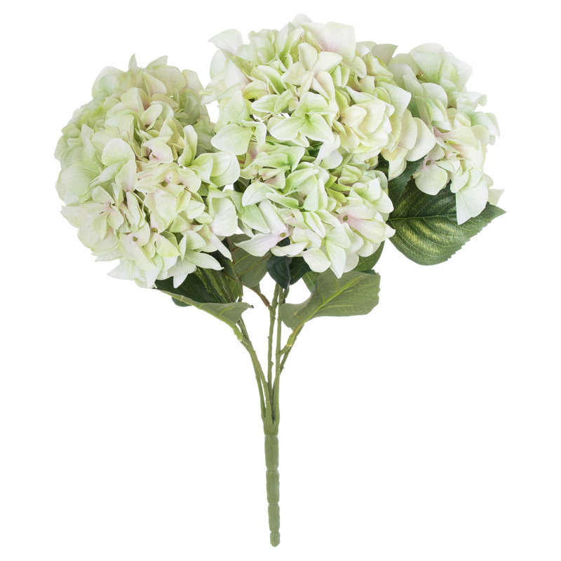 Hydrangea Arrangement, Green