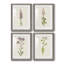 Mauve Garden Flowers I - ensemble de 4 peintures encadrées-1257449932-1257449931
